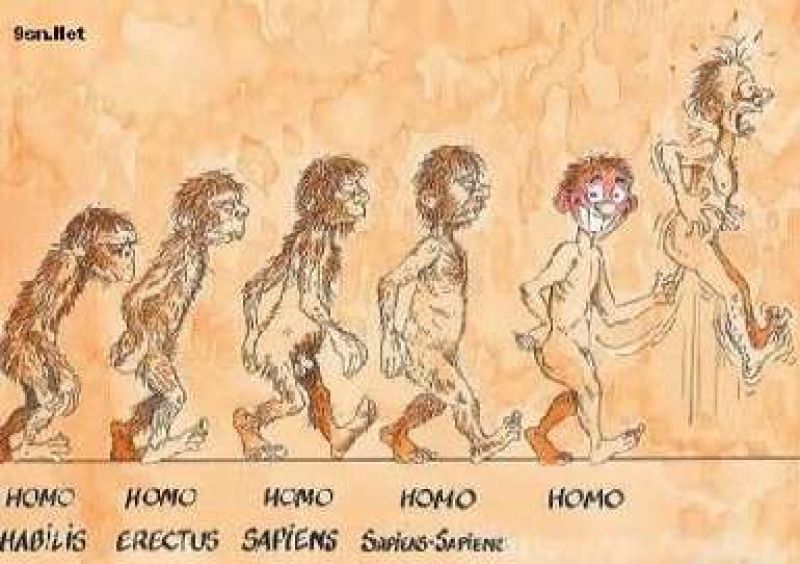 evolucion del mono.jpg